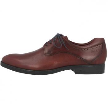 Sioux Herren Forello-XL Derbys, Braun (Cafe 003)