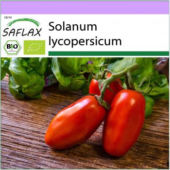 SAFLAX 15‑Stück‑Tomatensamen Bio – San Marzano – Solanum lycopersicum