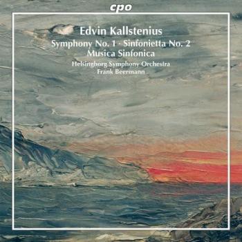 Musica Sinfonica Op. 42 : Symphonie N°1 et Sinfonietta N°2