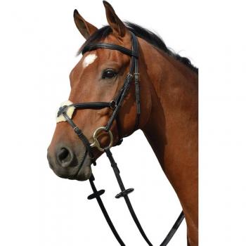 Raised Padded Figure‑8 Bridle – Collegiate Syntovia+, Black/Warmblood