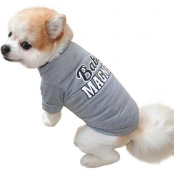 T-shirt mignon pour animaux de compagnie
