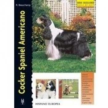 Cocker Spaniel Americano