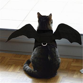 Halloween Canino: Disfraz de Murciélago
