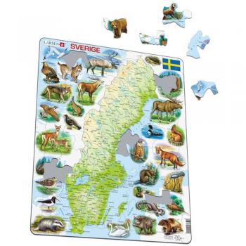 Aventura Zoológica en Suecia – 71 piezas