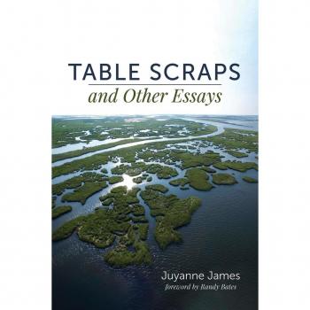 Vitalsource Technologies, Inc. Table Scraps And Other Essays