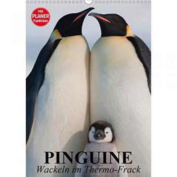 Pinguine. Wackeln im Thermo-Frack
