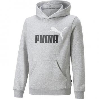 Sudadera Infantil Puma Essentials+ 2 Col Big Logo