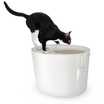 Tessera di Sabbia Gatto Chiusa L53xP41xH37