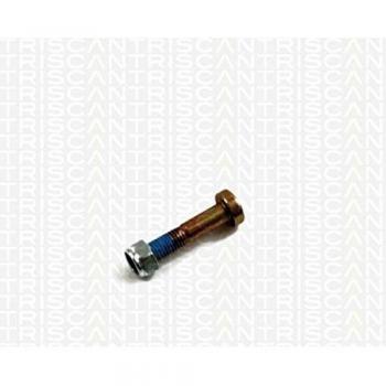 Control Arm Mount & Bolt Assembly – TRISCAN 8500