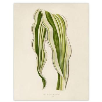 Botanical Striping: Beige Corn Leaf Wall Decor – Artery8 18x24 Poster