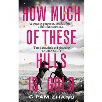 Zhang, C Pam How Much Of These Hills Is Gold: The Sensational Literary Debut Of 2020