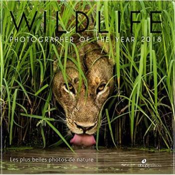 Wildlife Photographer of the year : Les plus belles photos de nature