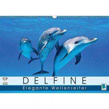Delfine: Elegante Wellenreiter