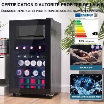 Mini Cooler 76L con Gelato 6L e 70L extra, 51 lattine di bevande