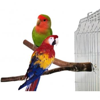 2Pcs Natural Bird Perch Toys