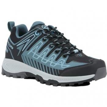 Dameswandelschoenen Lowa Renegade GTX