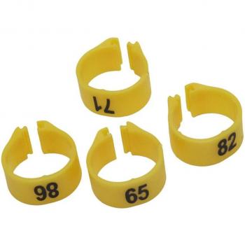100 Pcs Parrot Leg Bands