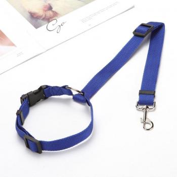 Ceinture de retenue voiture pour animal domestique – nylon respirant