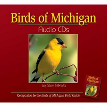 Birds Of Michigan