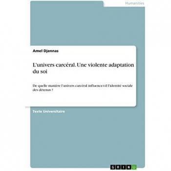 L'univers carcéral. Une violente adaptation du soi: De quelle manière l'univers carcéral influence-t-il l'identité sociale des détenus ?