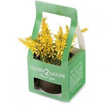 Bouquets de Campanules Jaunes 18 cm