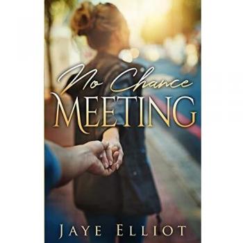No Chance Meeting (No Chance Love, Band 1)