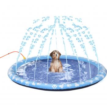 Tapis de Jeu Aquatique pour Chien