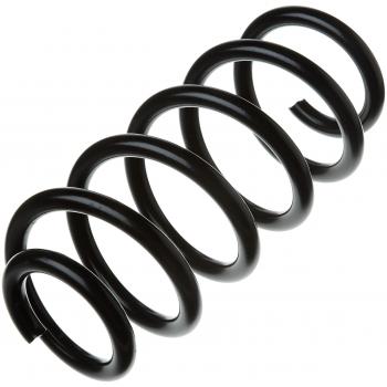 Lesjofers 4292624 Coil Spring Rear