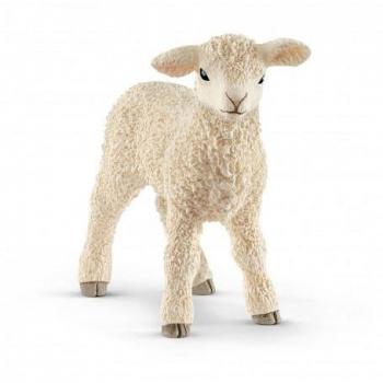 Schleich Schleich Farm World Cordero