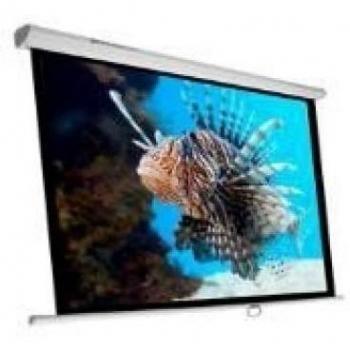 Pantalla de proyección manual plegable Phoenix
