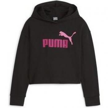 Puma Kids Hooded Sweatshirt Negro 2C