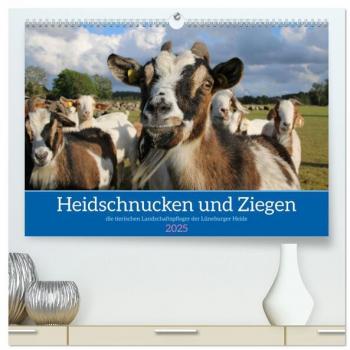 Heidschnucken und Ziegen die tierischen Landschaftspfleger der Lüneburger Heide (hochwertiger Premium Wandkalender 2025 DIN A2 quer) Kunstdruck in Hochglanz