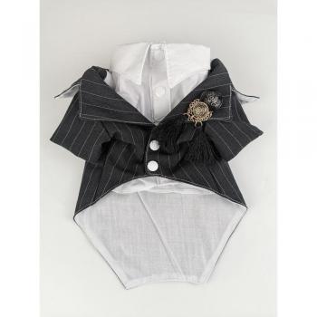 Tenue de cérémonie pour animal