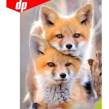 Full Round Fox Diamond Painting