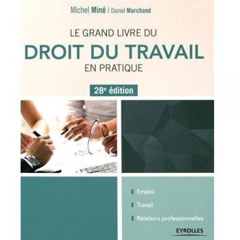 Le grand livre du droit du travail en pratique : emploi, travail, relations professionnelles