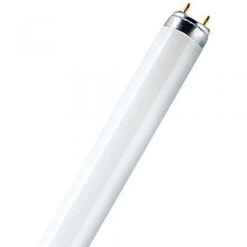 Osram Lámpara Biolux T8 58W 6500K
