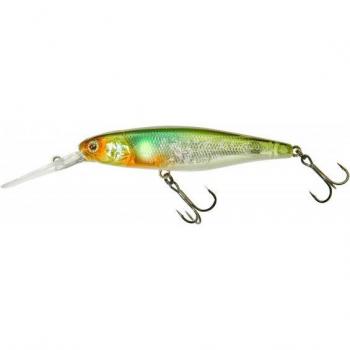 Poisson Nageur Illex SDD Squirrel 115 SP – Edition Illex NF Ayu Long, 11,5 cm, 22 g