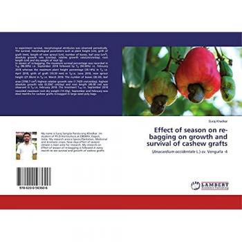 Effect of season on re-bagging on growth and survival of cashew grafts: (Anacardium occidentale L.) cv. Vengurla -4
