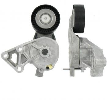 SKF Puleggia Tendicinghia VKM 31019