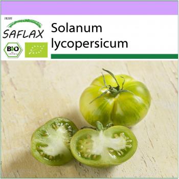 Tomate Green Zebra