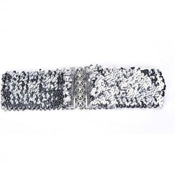 Metallic Sequin Belt in Gold