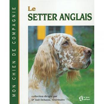 LE SETTER ANGLAIS