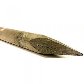 Pali Impregnati in Legno di Pino Diametro 12 Lunghezza 250 cm (10 pz)