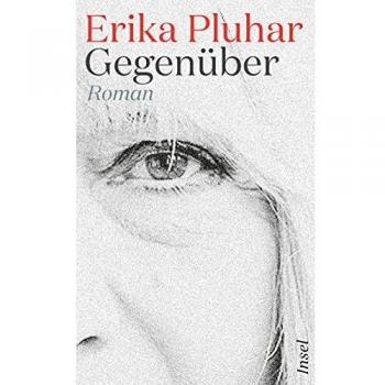Erika Pluhar Gegenüber: Roman (Insel Taschenbuch)