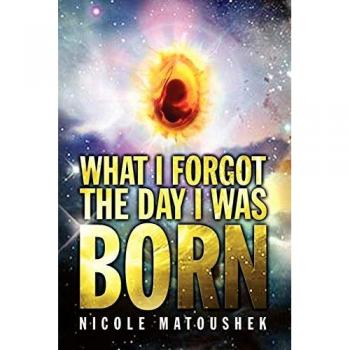 What i forgot the day i was born paperback