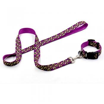 Halloween Dog Collar and Leash Combo with Pumpkin Bell