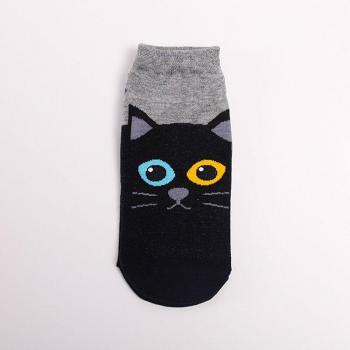 Pies Divertidos: Gatos y Perros