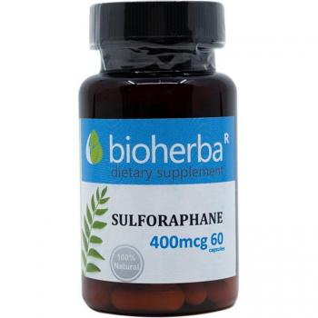 Bioherba Sulforaphan 14 kg Kapseln