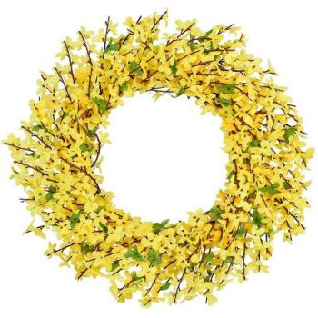 Forsythia Gold Crown – Porte Accueillante