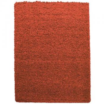 Tapis Terra Shaggy 60x110 Rectangle